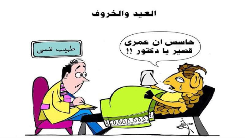 ريشة ثروت مرتضى