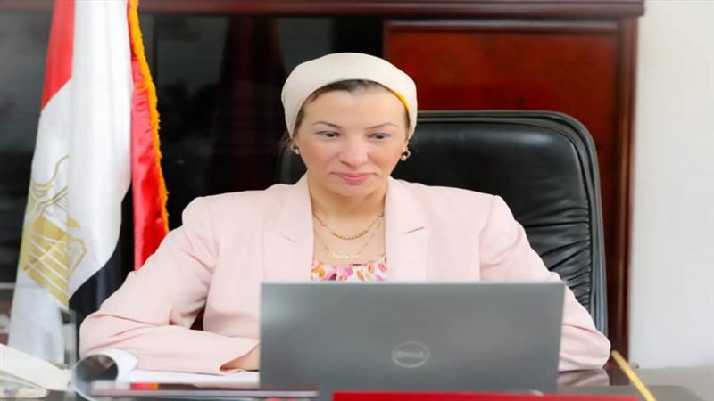 الدكتورة ياسمين فؤاد