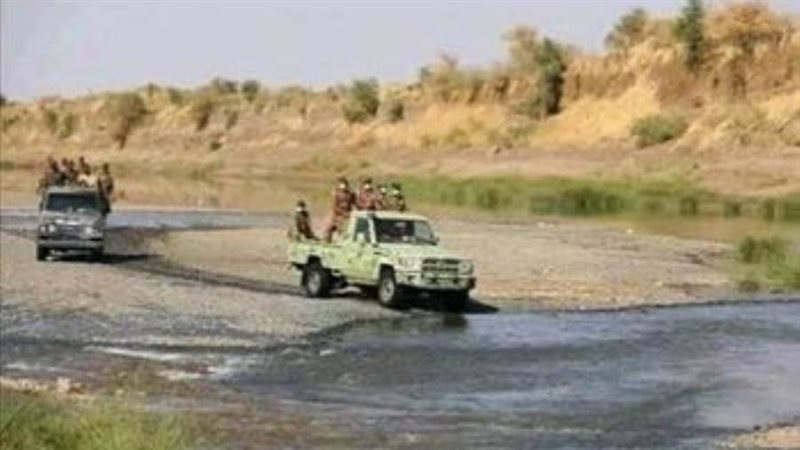 قوات في الفشقة