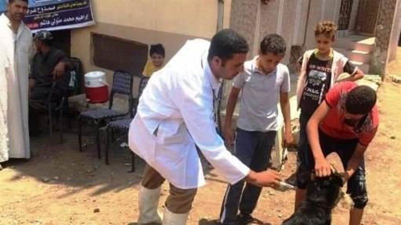 فحص وعلاج الحيوانات