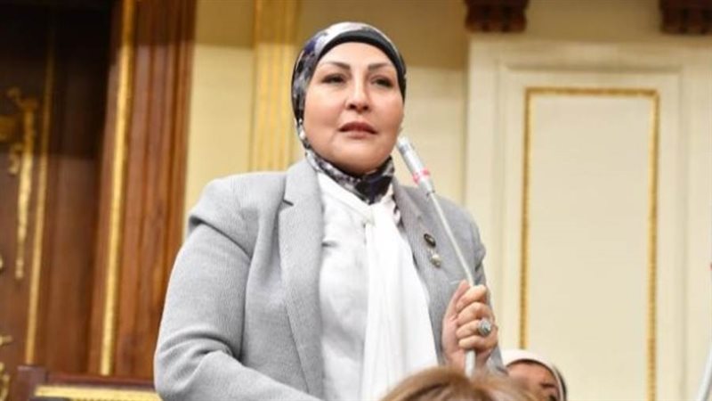 النائبة هالة أبو