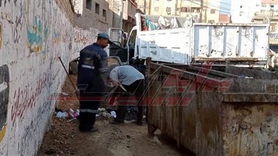 حملات نظافة وتجميل مكبرة بمحافظة كفر الشيخ