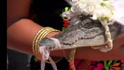 عمدة مكسيكي يتزوج من تمساح وسط حفل صاخب (فيديو)