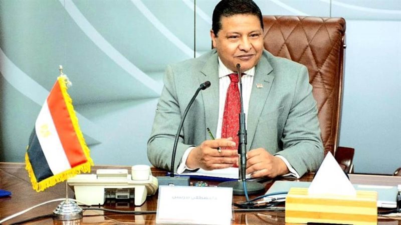 الدكتور مصطفى الشربيني