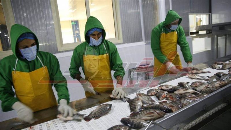 مزرعة غليون