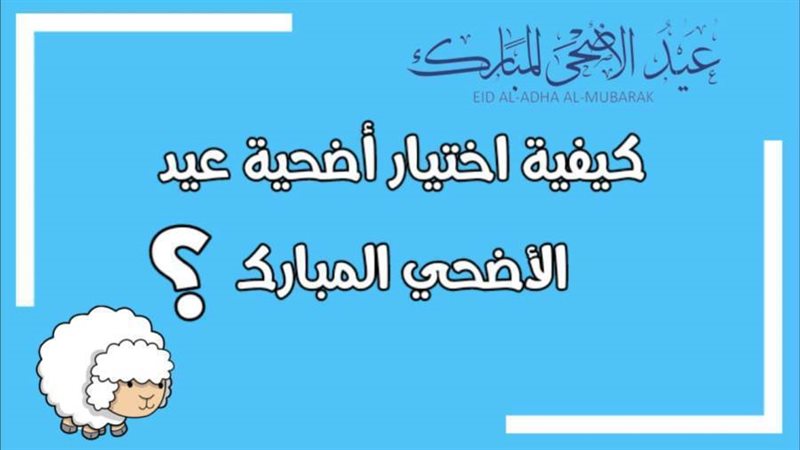كيفية اختيار أضحية