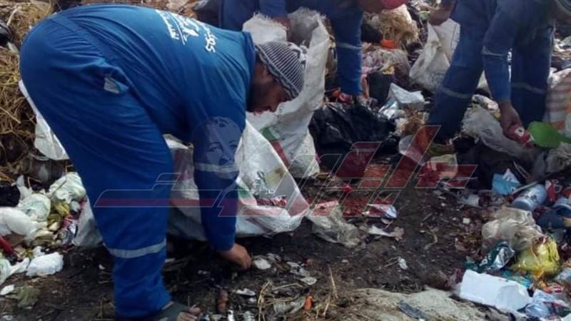 فرز القمامة