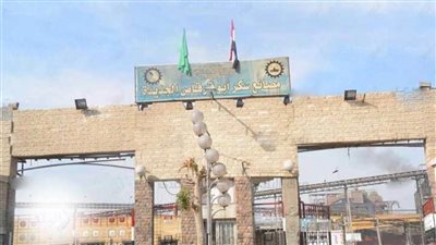 غدا آخر موعد لتوريد محصول البنجر لمصانع سكر أبوقرقاص بالمنيا