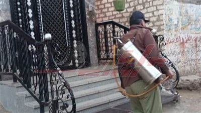 حملات مكبرة لمكافحة الحشرات والباعوض بكفر الشيخ