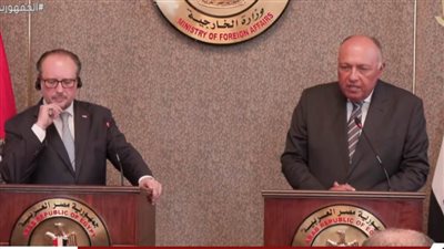 التغطية الكاملة للمؤتمر الصحفي المشترك بين سامح شكري ونظيره النمساوي ألكسندر شالنبيرج