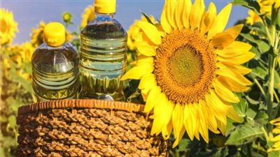 شعبة الزيوت والدهون: ضرورة التوسع في زراعة النباتات الزيتية