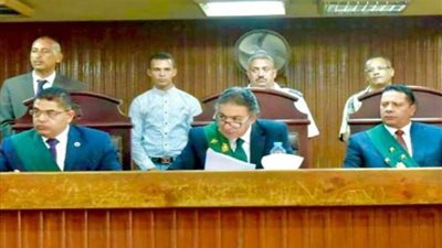 السجن المشدد عام للمتهم بهتك عرض طفلة بشبرا الخيمة