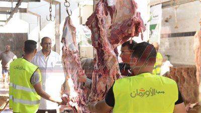 تخصص 45 عجل بلدي لتوزيع لحومهم في عيد الأضحى بكفر الشيخ