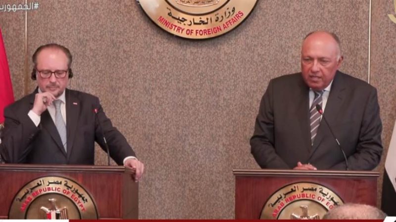 سامح شكري و ألكسندر