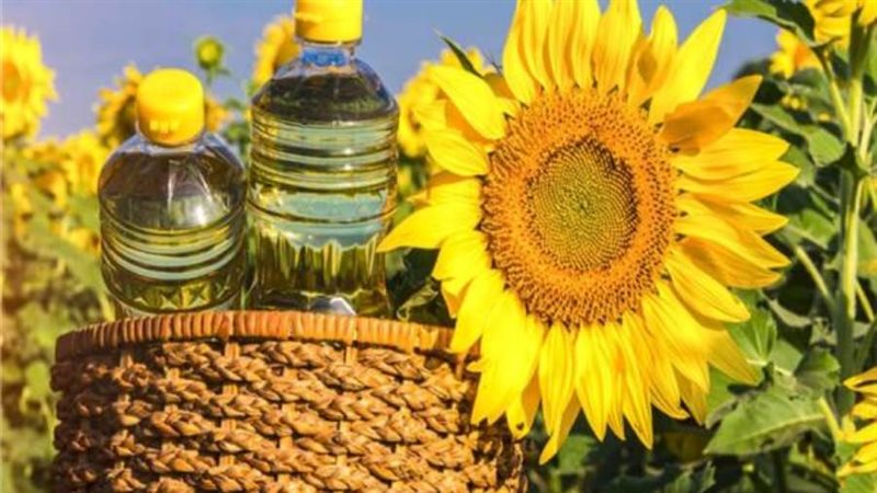 صورة أرشفيه