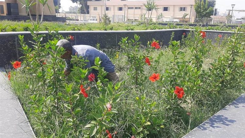 بوابة روز اليوسف