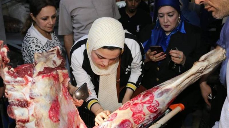 حملات تفتيشة بالمنوفية