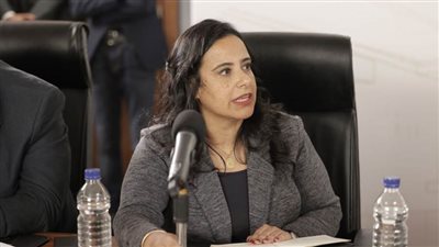 د. ريهام باهي: أعلى نسبة استجابة كانت للمواطنين وذلك دليل على استجابتهم للحوار