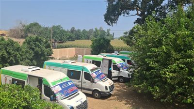 الكشف على ١٥٣١ مواطناً فى قافلة طبية مجانية بقرية جزيرة نكلا بالبحيرة