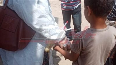 تحصين عدد 35270 طائرًا ضد الأمراض الوبائية بكفرالشيخ 