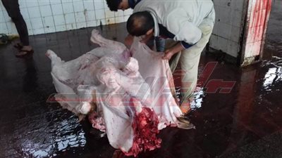 مغنم يكشف لـ