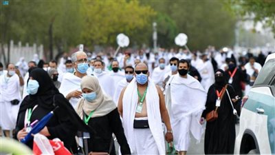 لجان وزارة السياحة والآثار تتابع أحوال حجاج السياحة في الأراضي المقدسة