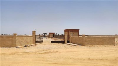 التنمية المحلية: 230 مليون جنيه حجم الاستثمارات بمحافظة الشرقية