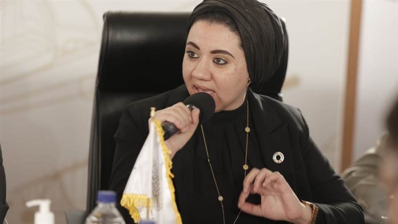 النائبة أميرة صابر