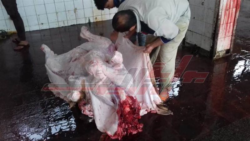 أعمال الذبح