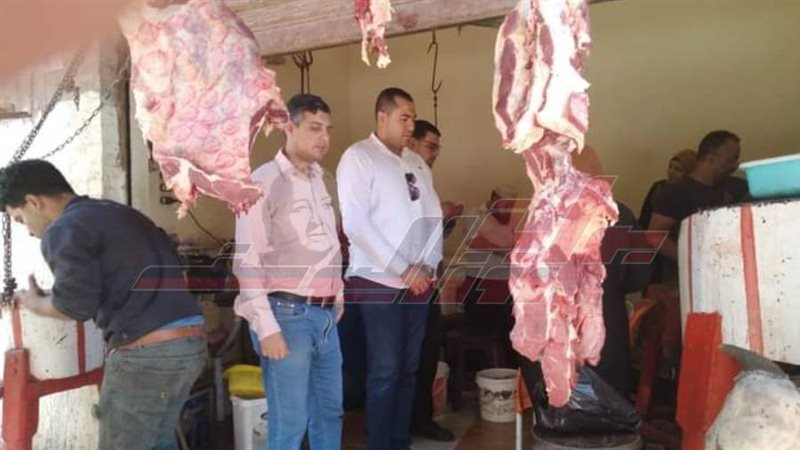 حملات التفتيش