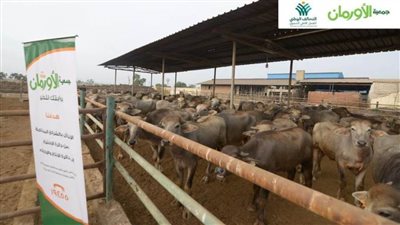 التحالف الوطني للعمل الأهلي التنموي يطلق أكبر حملة لتوزيع لحوم الأضاحي