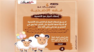 أبرز المعلومات عن فقه الأضحية