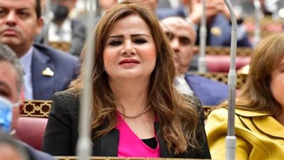 برلمانية: مشروعات 