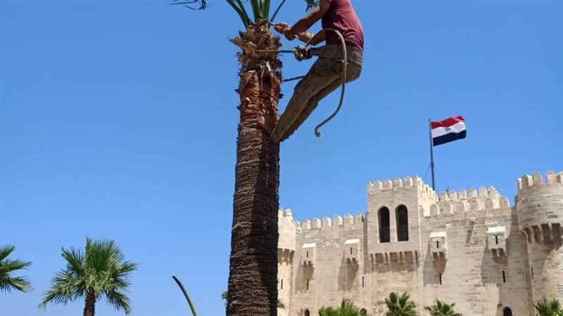 قلعة قايتباي