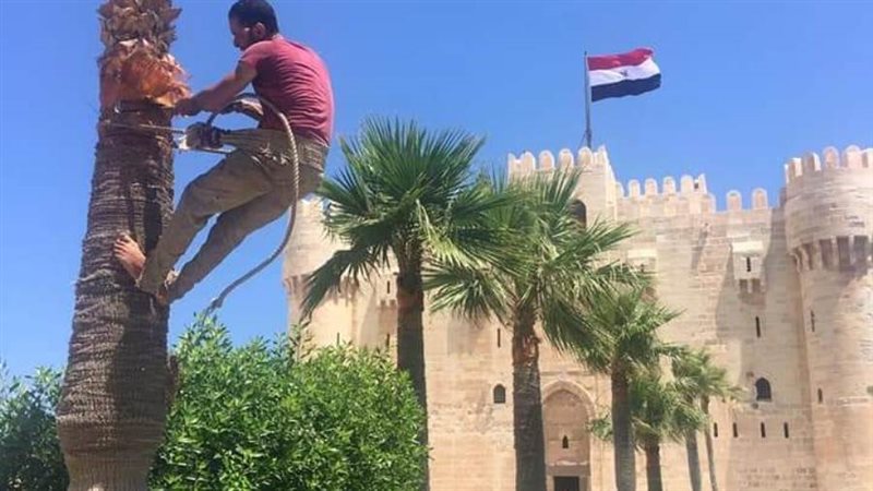 قلعة قايتباي تستقبل