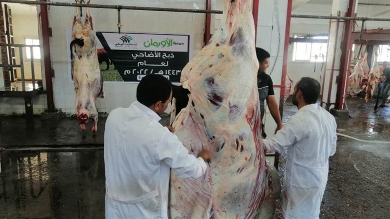 أورمان البحيرة تبدأ