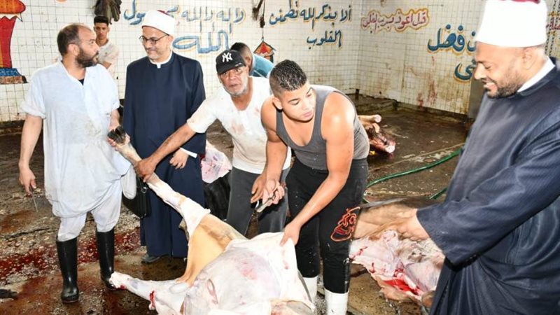 بوابة روز اليوسف