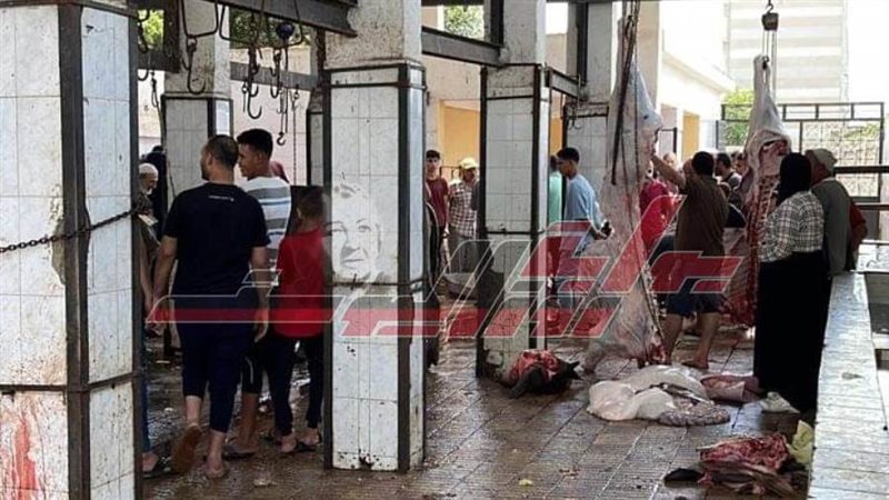 مجازر كفر الشيخ