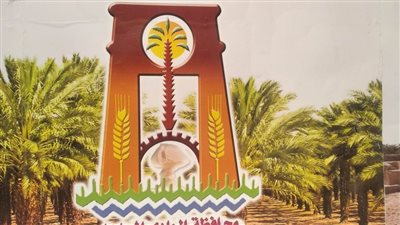 ٨١ رأس عجول من مؤسسات المجتمع المدني لمستحقي تكافل وكرامة بالوادي الجديد