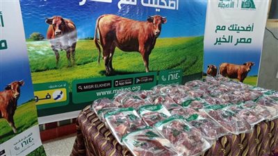 ذبح 50 عجل أضحية حتى الآن من إجمالي 200 عجل 