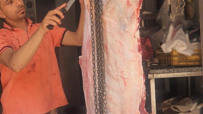 الطب البيطرى تأكد