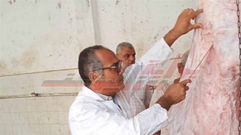 مجازر كفر الشيخ