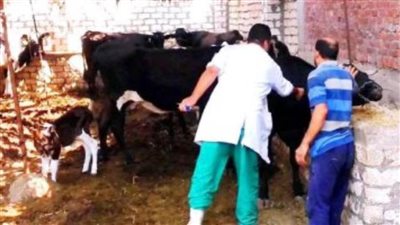 اليوم.. بدء الحملة القومية للتحصين ضد الحمى القلاعية والوادي المتصدع بالمنيا