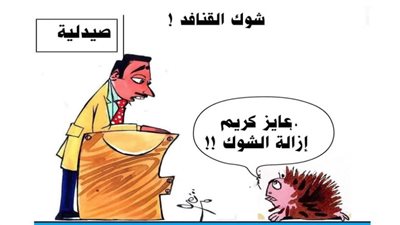 يوميات صميدة وحمدان