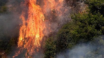 احتراق نحو 4000 هكتار من الغابات بسبب موجة الحر بجنوب غرب فرنسا