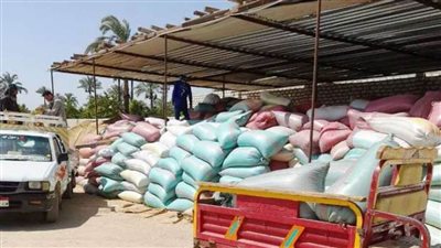 توريد 108 آلاف و960 طن قمح لشون وصوامع سوهاج