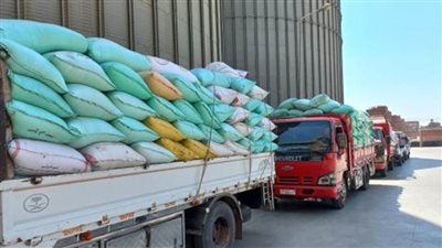 تموين الغربية: توريد 237 ألف طن قمح منذ بداية الموسم