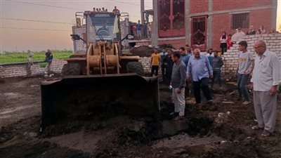 استمرار حملات إزالة التعديات على الأراضي الزراعية وأملاك الدولة بالبحيرة