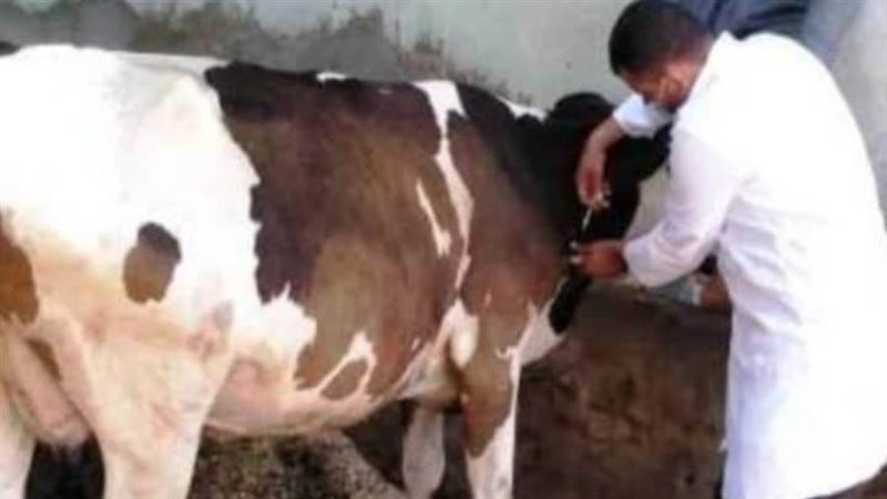 الأطباء خلال حملات