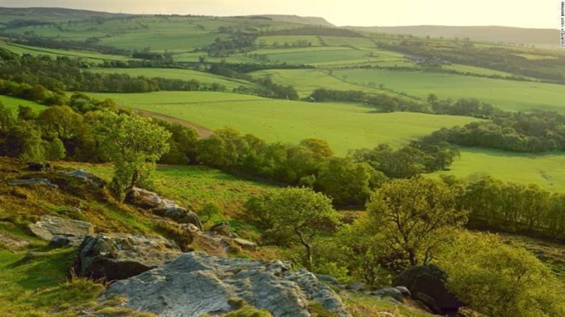 زراعات في بريطانيا